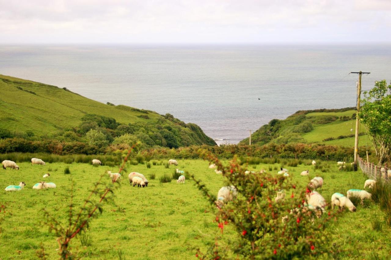 Bed and Breakfast Wild Atlantic View Inishowen Greencastle  Exterior foto