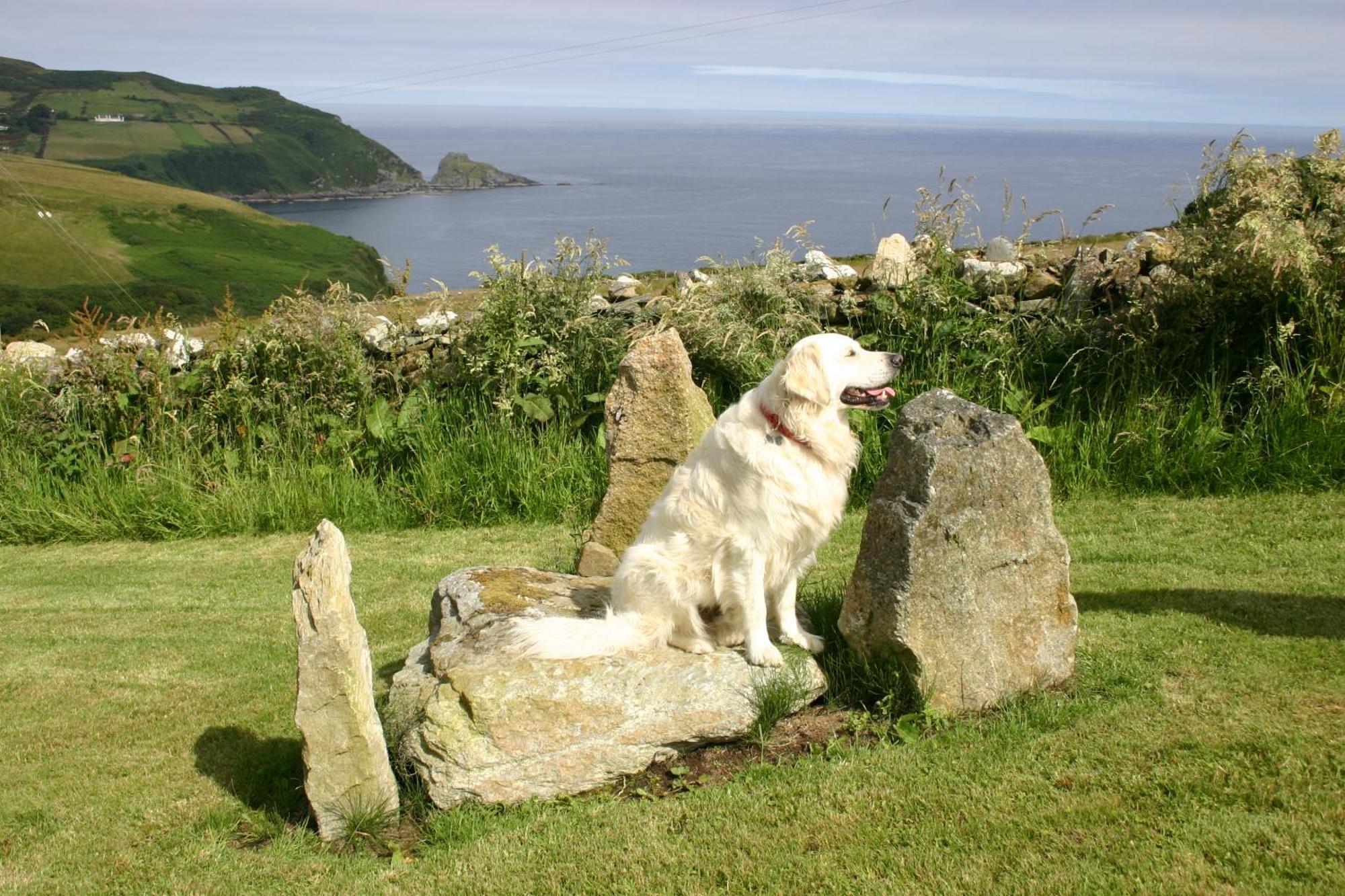 Bed and Breakfast Wild Atlantic View Inishowen Greencastle  Exterior foto